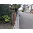 道路との境界付近